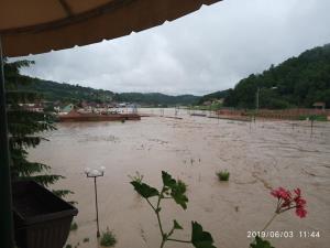 Guća, VIII, junij 3, 19